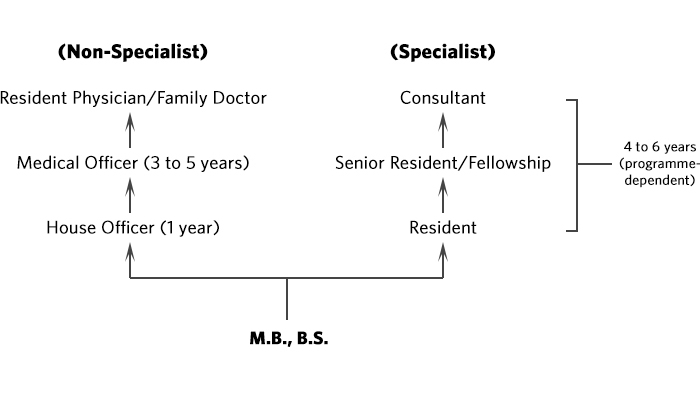 Medical Service Career Path